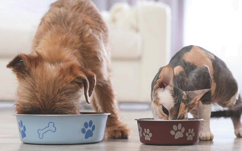 Alimentos para mascotas en Estados Unidos