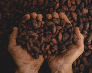 Colombia, tradición y origen