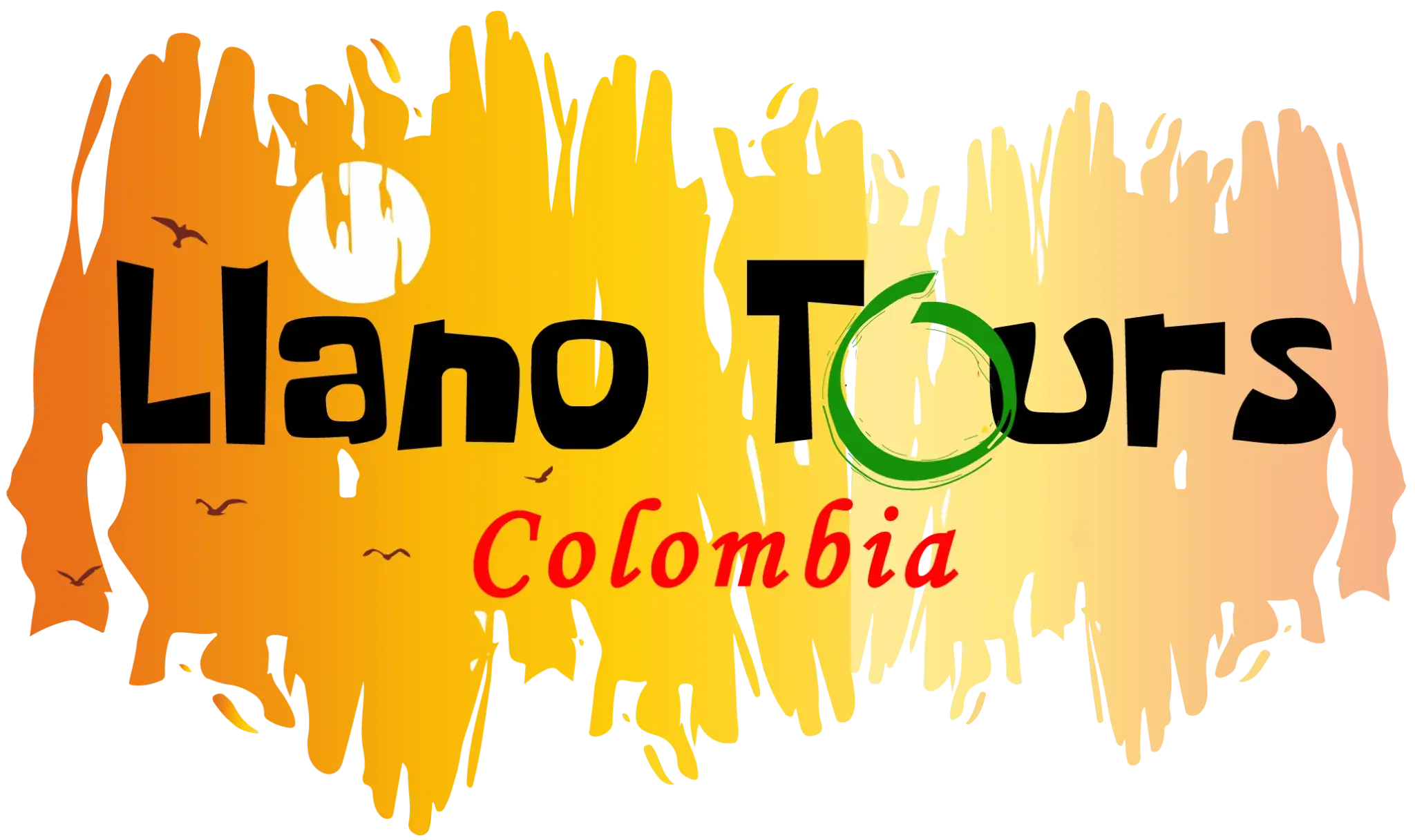 Logo Llano Tours
