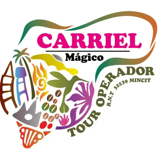 Logo viajes carril magico
