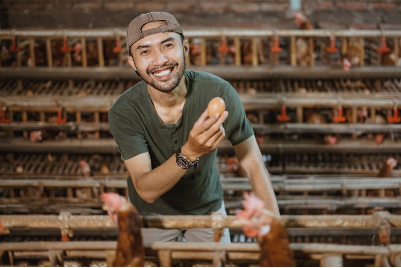 Hombre en granja para la producción de huevo en Colombia.