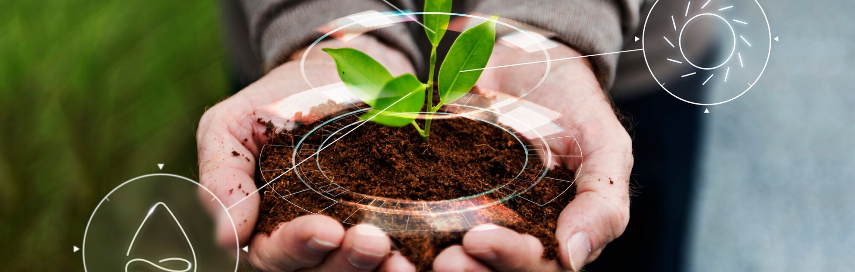 Resultados de busqueda