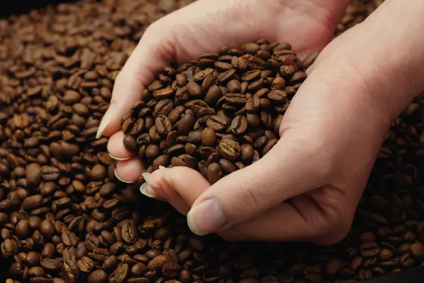 Café para exportar desde Colombia en una bolsa