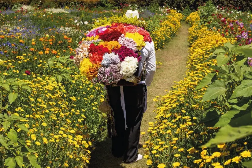 Campesino colombiano cargando flores