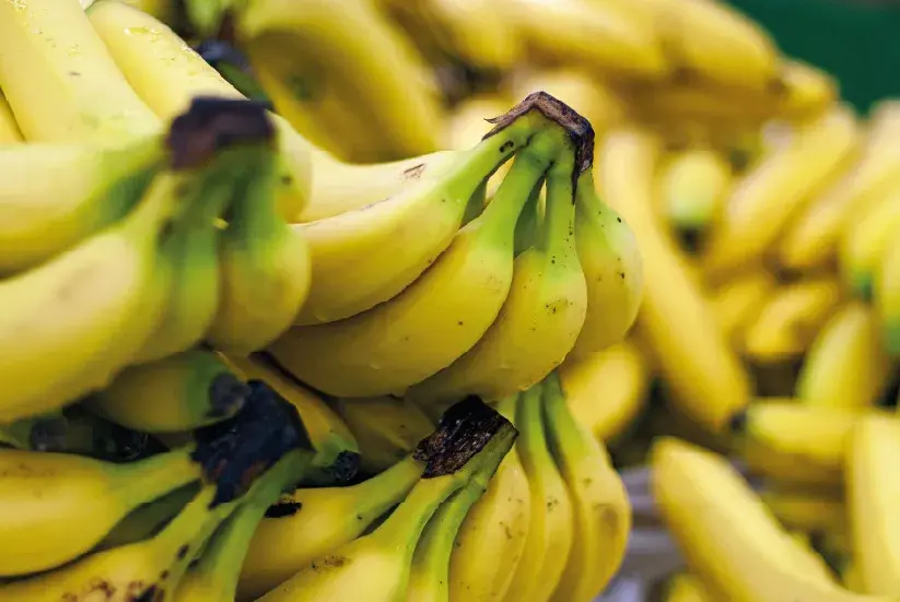 Clusters of yellow bananas.