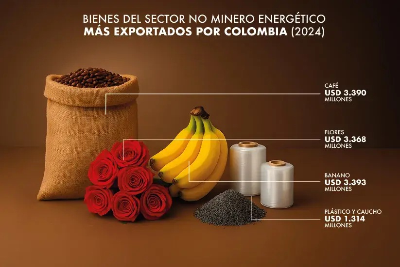 Gráfica: Bienes del sector no minero energético más exportados por Colombia (2024)