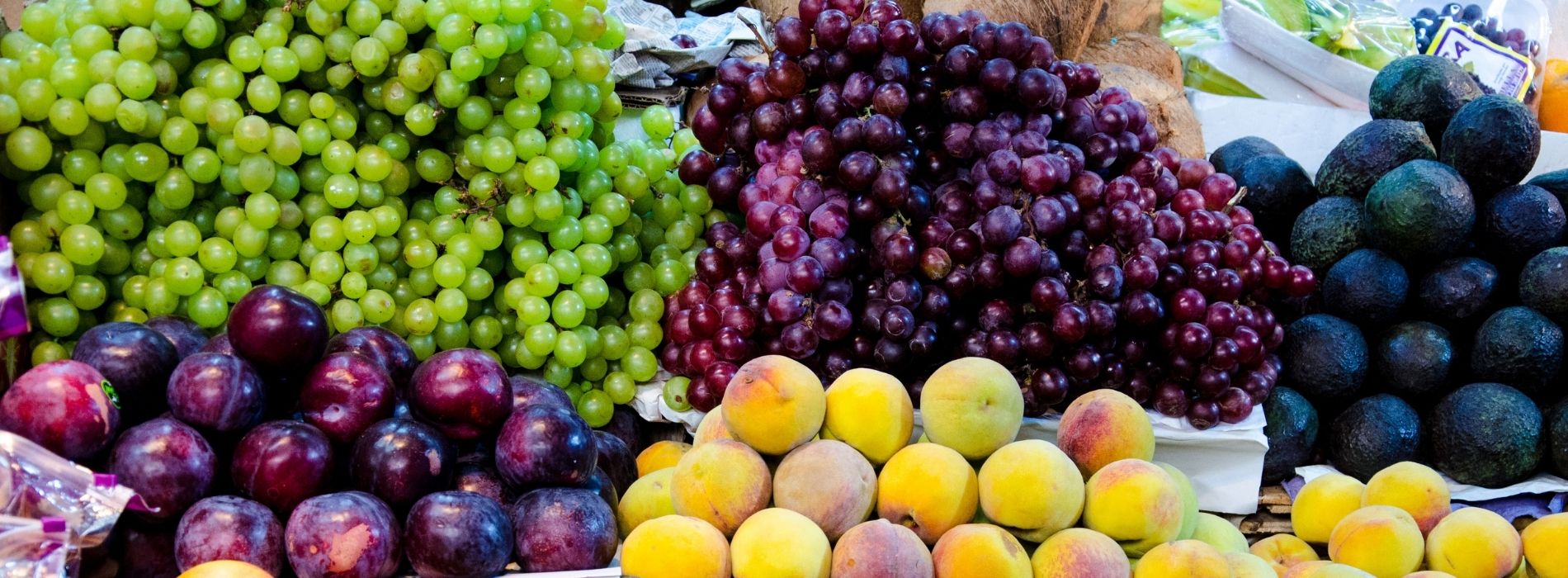 Fruta Colombiana en Medio Oriente