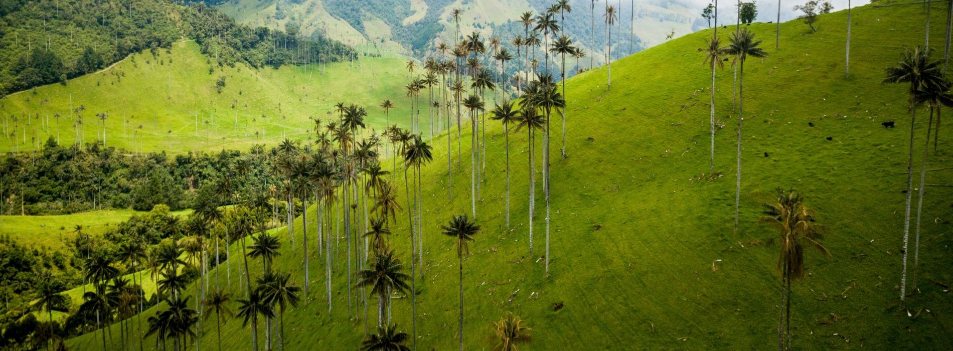 Fotografía panorámica de paisaje en Colombia