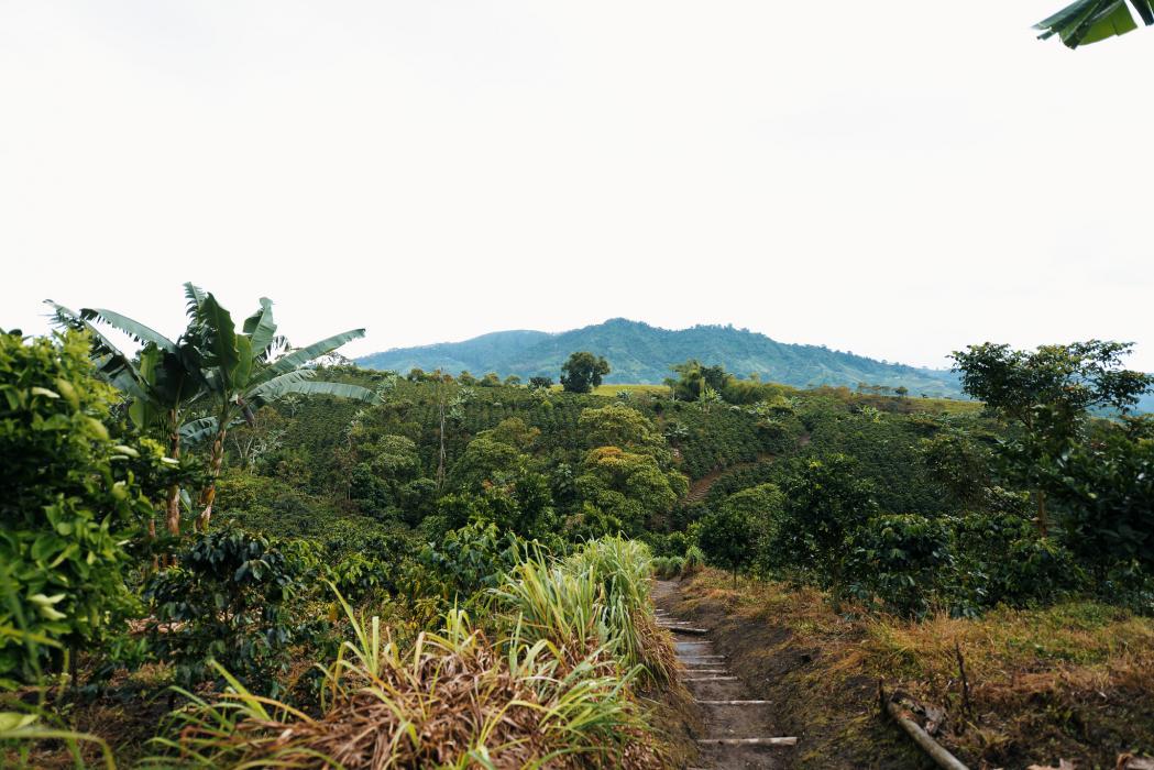 Fotografía panorámica de paisaje en Colombia