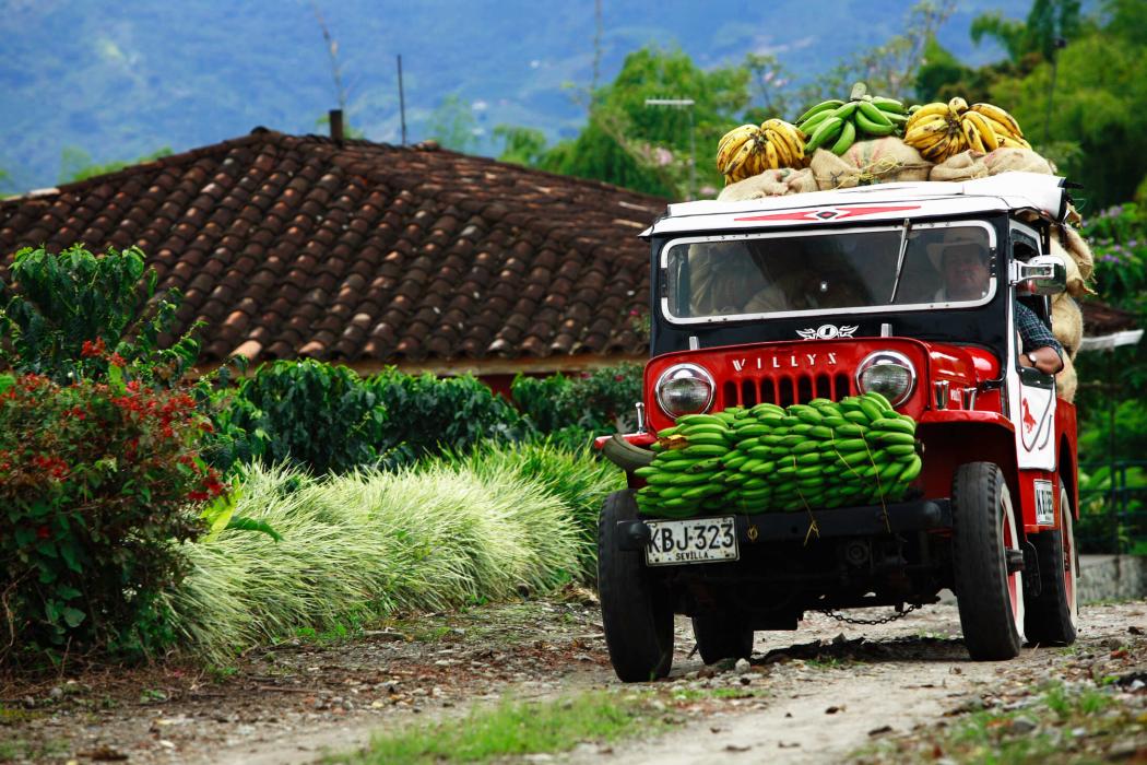 Auto marca VILLYN cargando platano