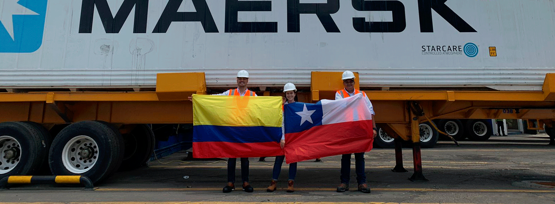 Equipo de exportación de aguacate Hass a Chile