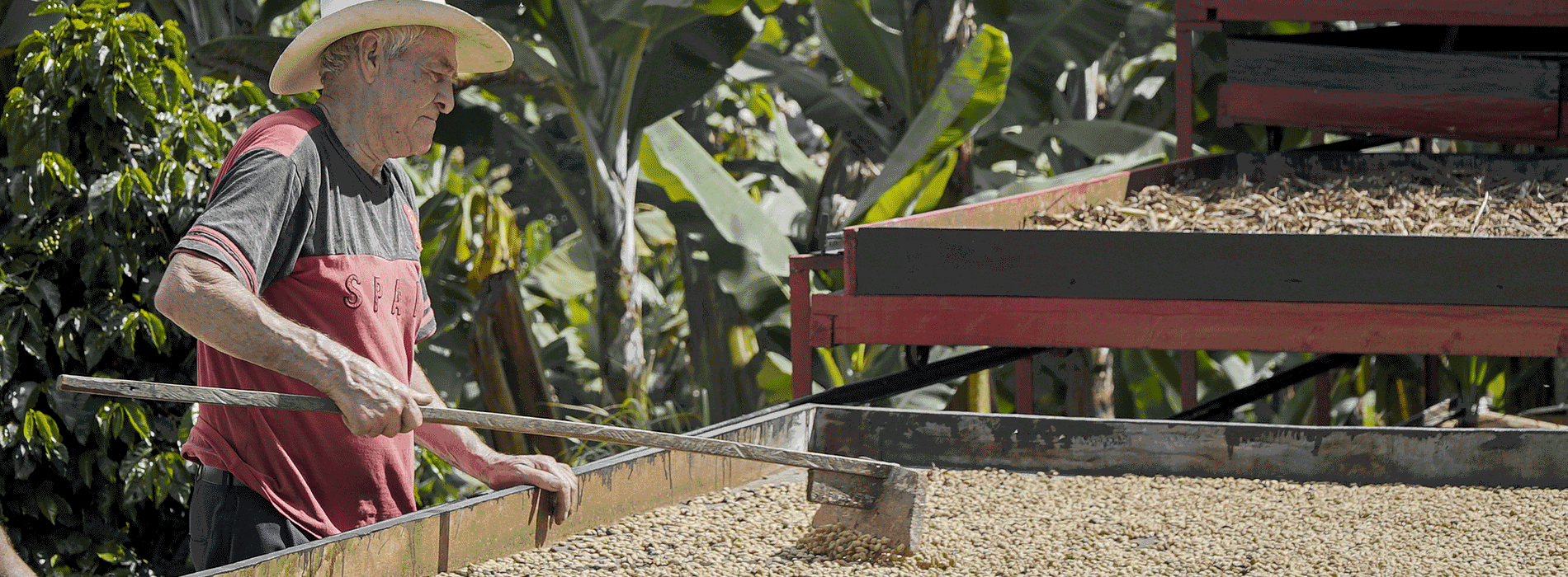 Agricultor Colombiano 