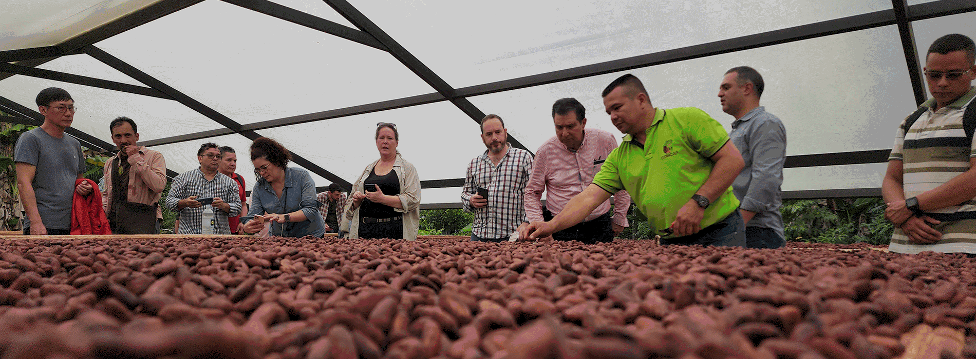 Agricultores de cacao en Caquetá