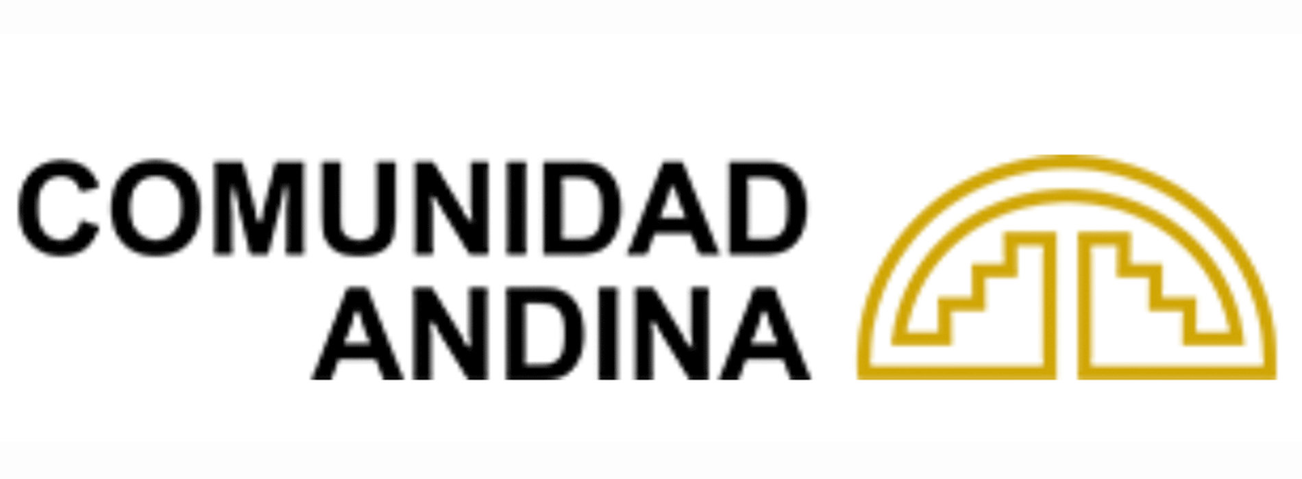 Banner de Comunidad Andina 