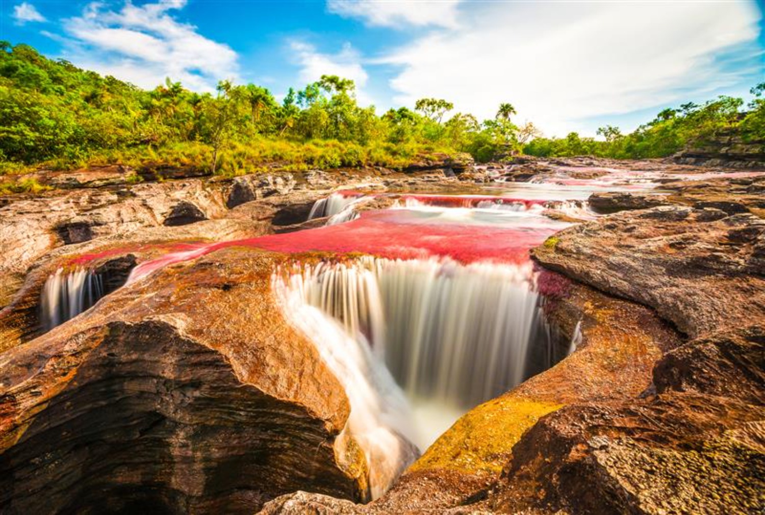 Caño Cristales