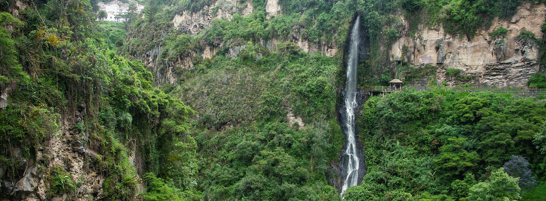 Paisaje Colombiano