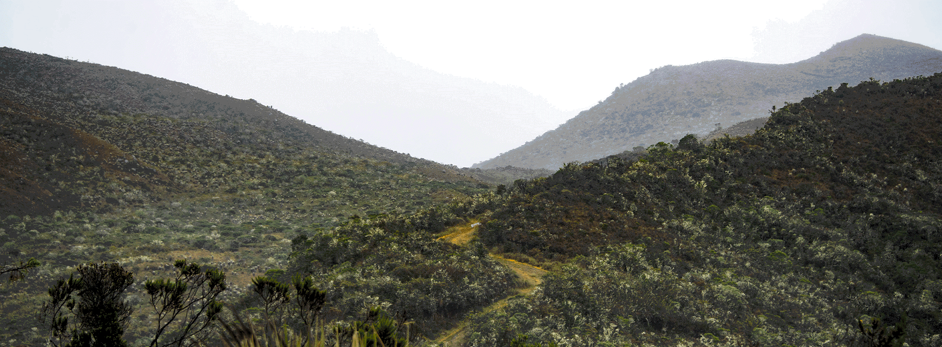 Fotografía panorámica de paisaje con montañas en Colombia 