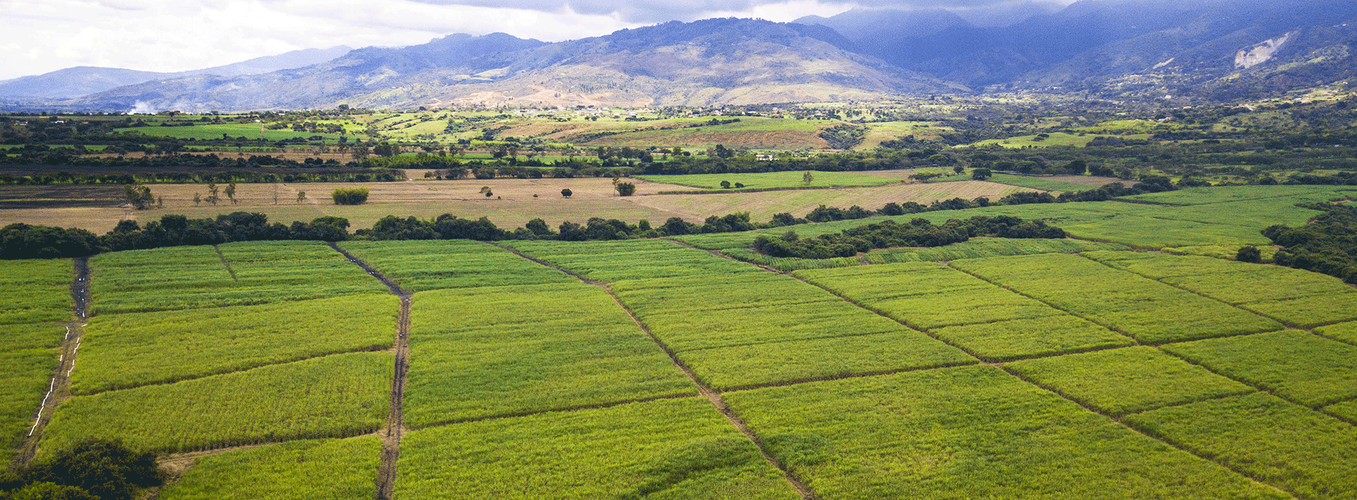 Foto panorámica de paisaje en Colombia