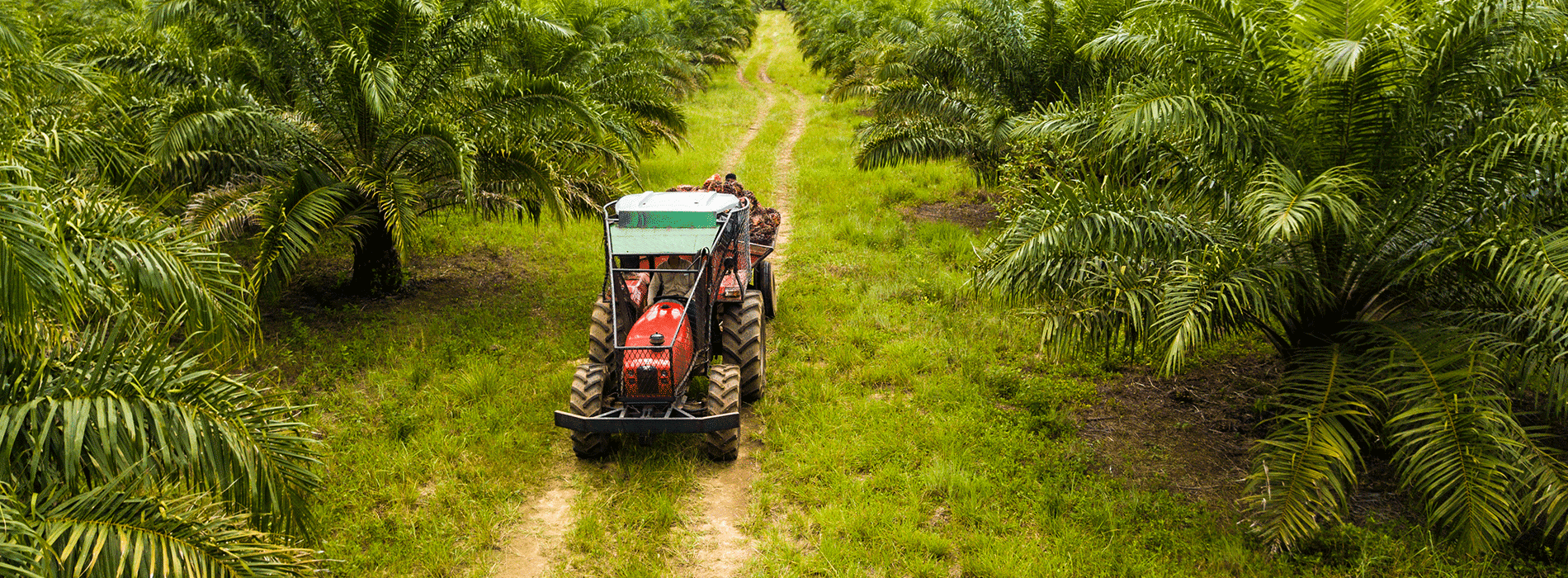 Tractor en medio de campo Colombiano 