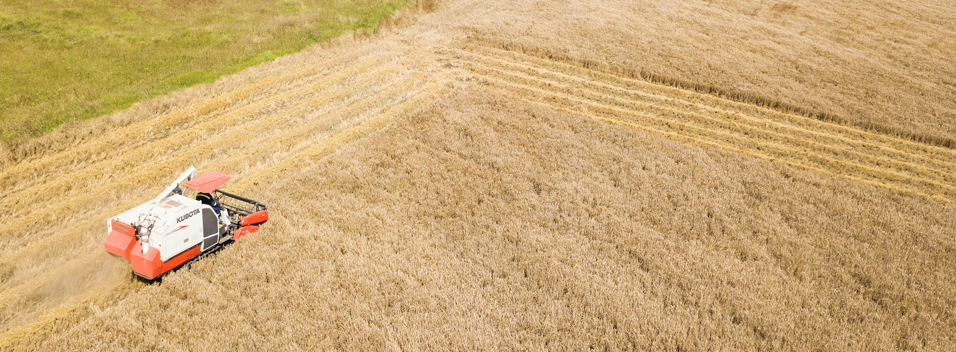 Maquina para uso Agrícola en cultivos 