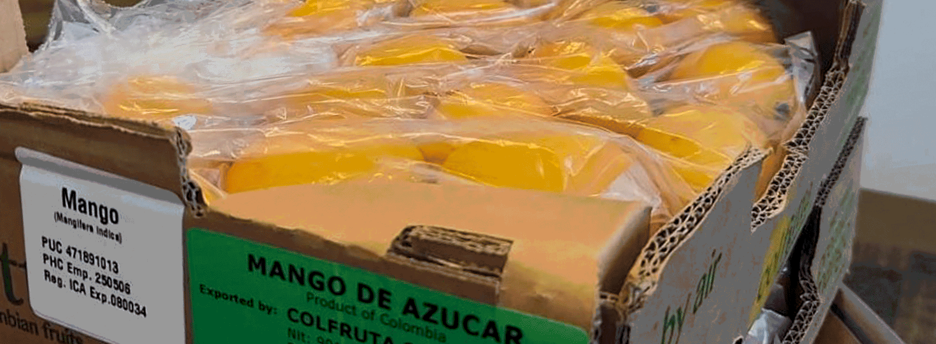 Colombian Sugar Mangoes