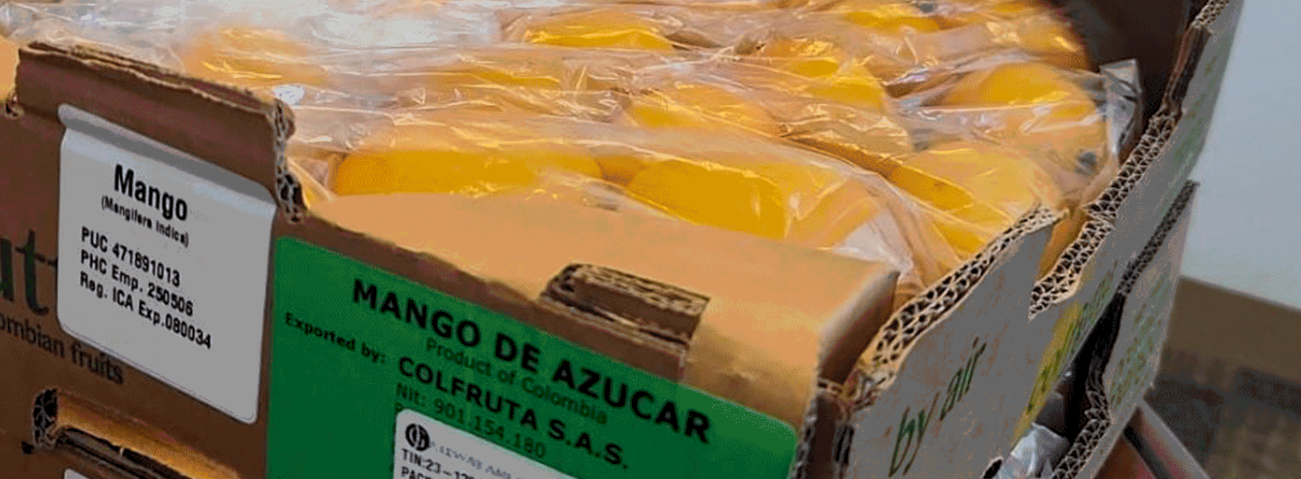 Caja de mango de azúcar para exportación 