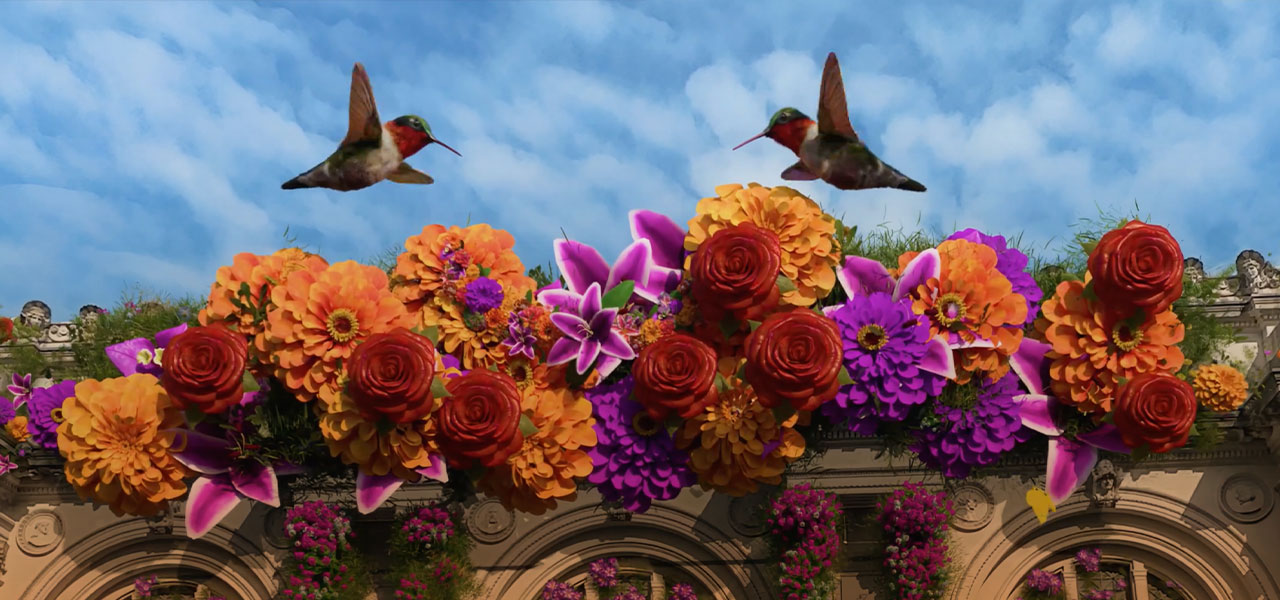 Aves volando sobre flores
