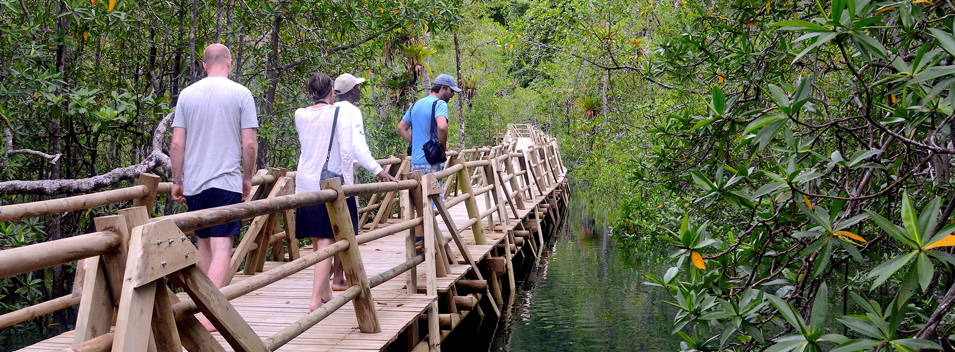 Turistas en puente de madre en medio de un bosque 