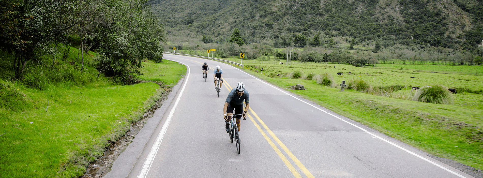 Ciclistas de ruta 