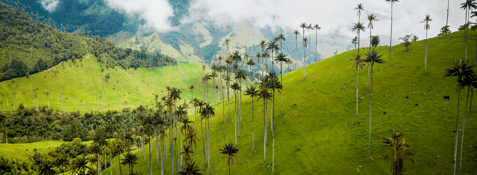 Paisaje con montañas en Colombia