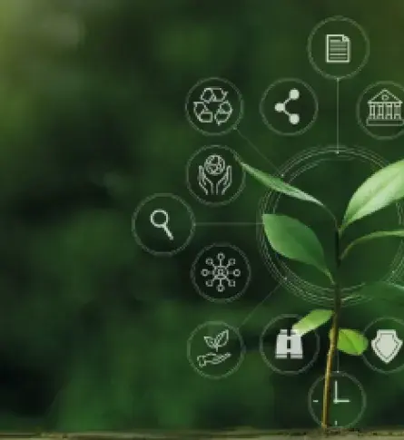 Sustainable icons next to a plant.