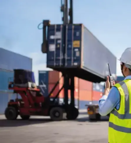 Worker looking the development of export goods trading.