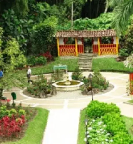 Coffee Cultural Landscape in the Race to Become the Eighth Wonder of the World