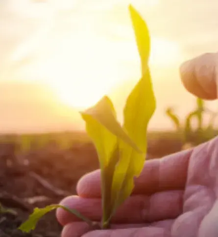 Proexport promueve el turismo, inversión extranjera y exportaciones en Colombia