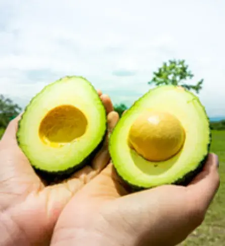 Proexport entidad que promueve el turismo, la inversión extranjera y las exportaciones en Colombia