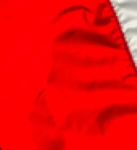 Bandera de Canadá - Ventajas de exportar a Canadá.