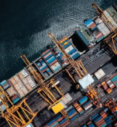 Medios de transporte para exportar en el mar