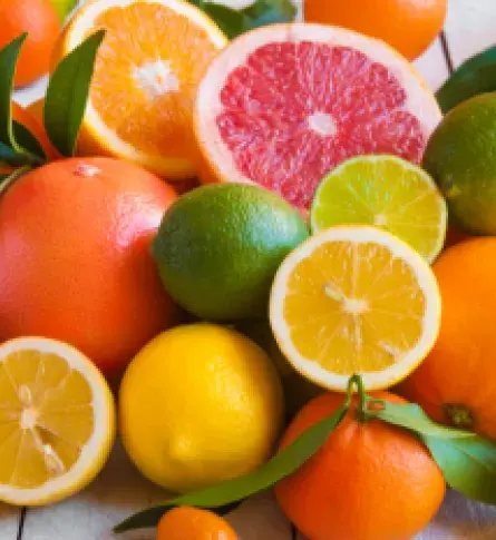 El buen momento de los cítricos colombianos | Colombia Trade