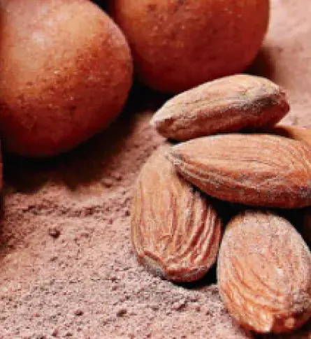 ¿Por qué vale la pena exportar cacao colombiano?