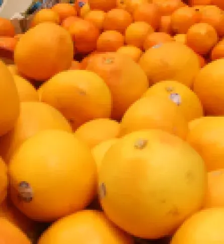 El mercado de cítricos en el mundo | Colombia Trade