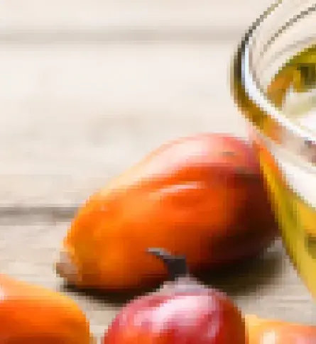 Exportación de aceite de palma en Colombia.