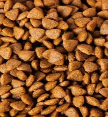 potencial_de_exportacion_de_productos_para_mascotas