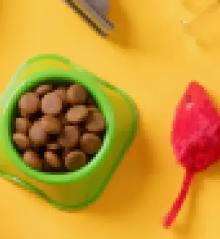 Crece oferta colombiana de productos para mascotas en el mundo