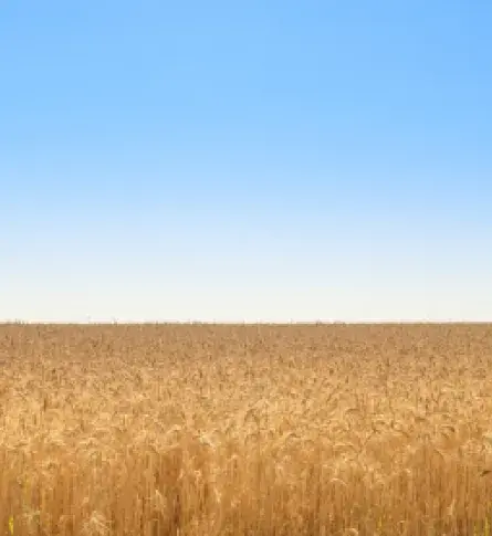 Agrícola a Unión Europea