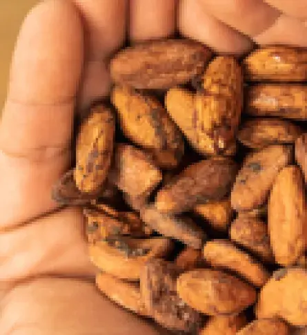 Foto: Shutterstock. Se encuentra