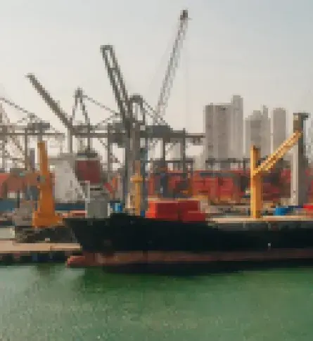 Barcos de Exportación