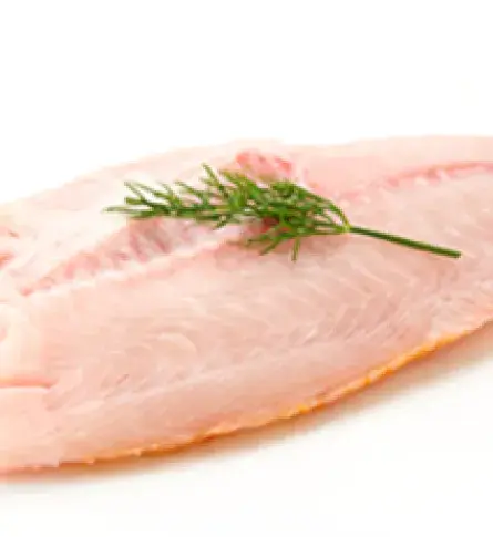 Oportunidades de exportación para el sector acuícola en Colombia