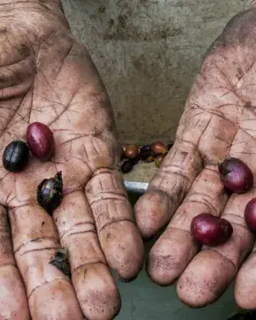 Guía práctica beneficios para la exportación de bienes