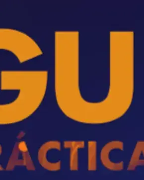 Banner guía practica