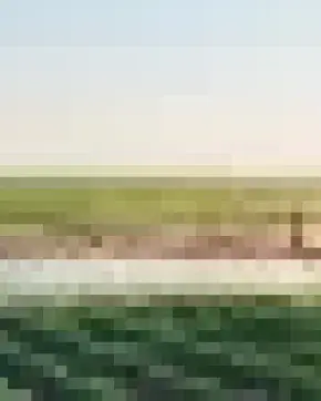 BENEFICIO TRIBUTARIO PARA INVERSIONES QUE AUMENTEN LA PRODUCTIVIDAD DEL SECTOR AGRO